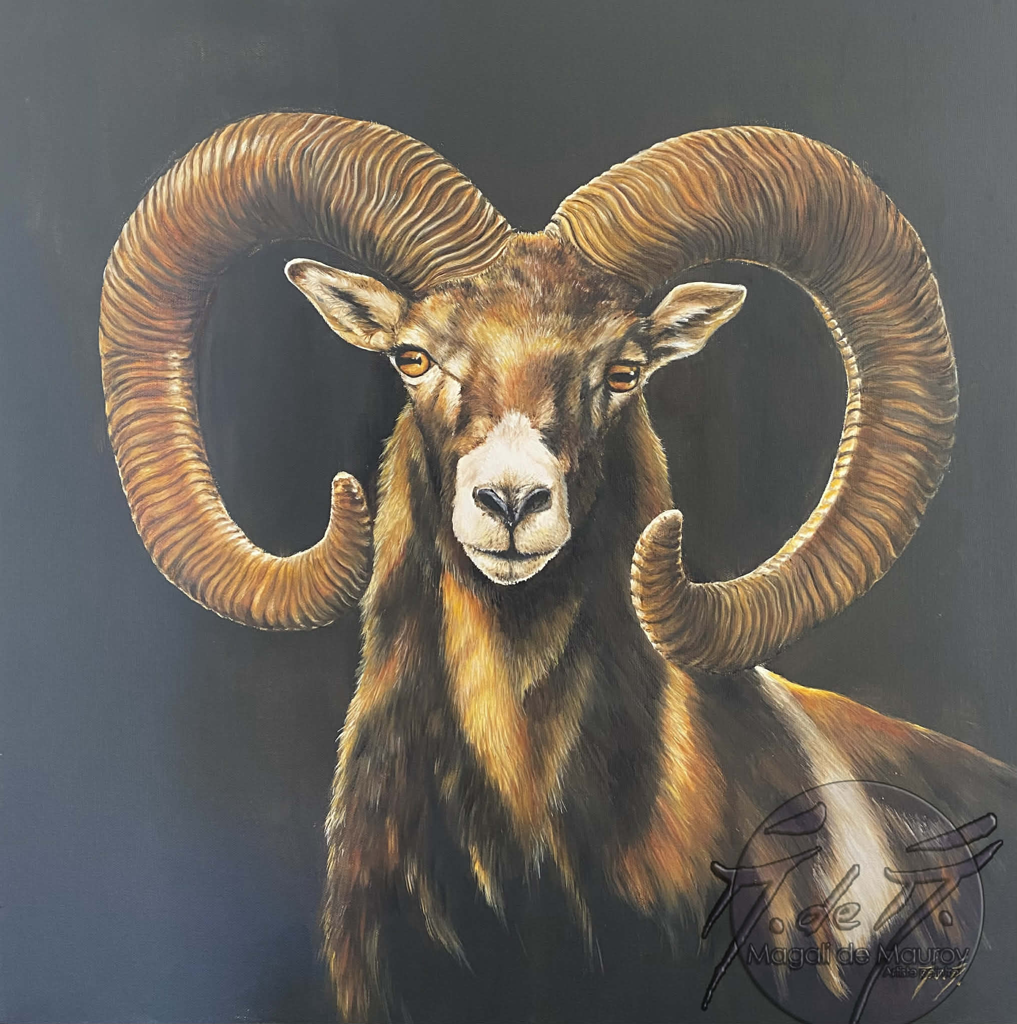 Mouflon en clair obscur